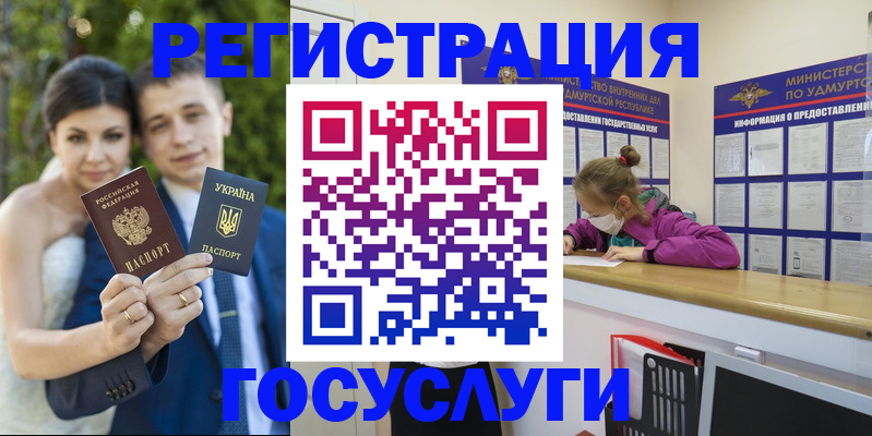 прописка поиск в Гаджиево